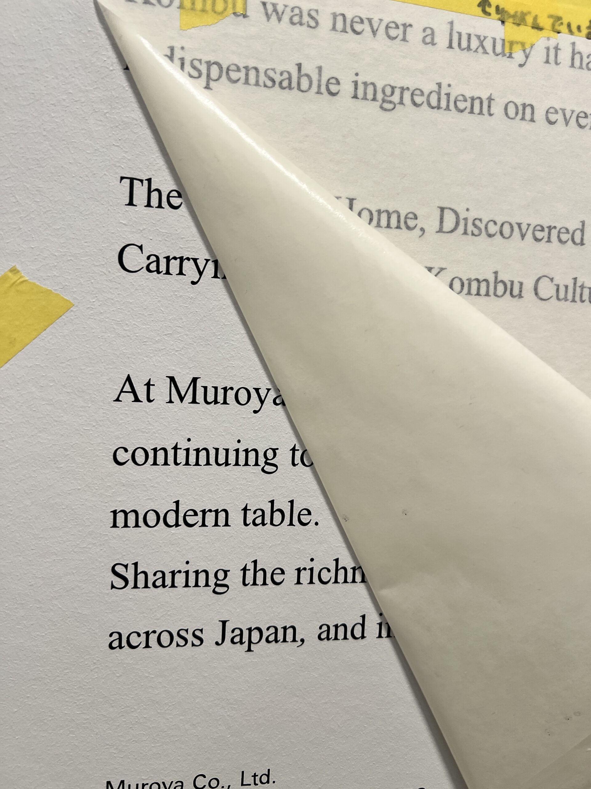 ペイントフィルム施工